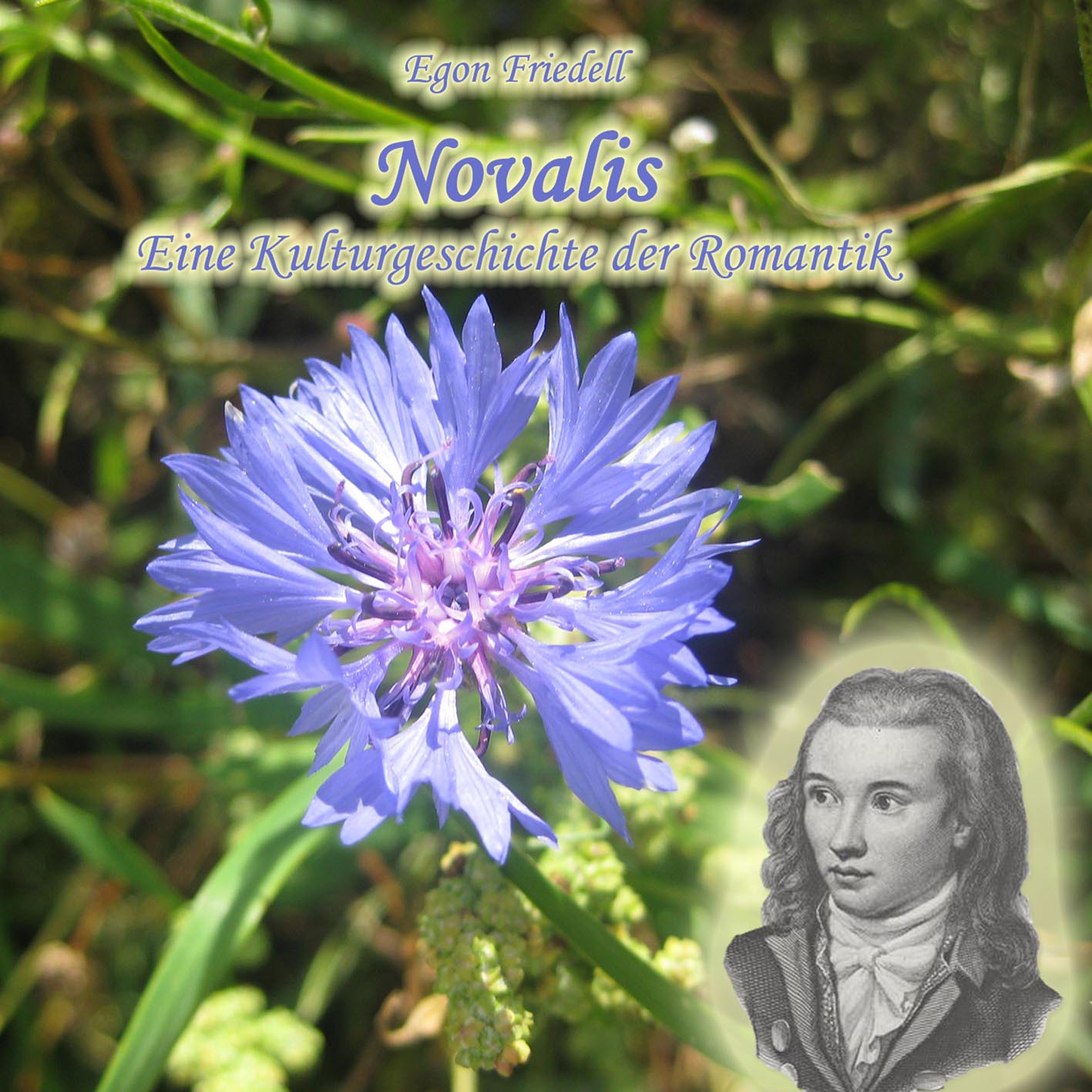 Novalis Eine Kulturgeschichte der Romantik HIERAX MEDIEN